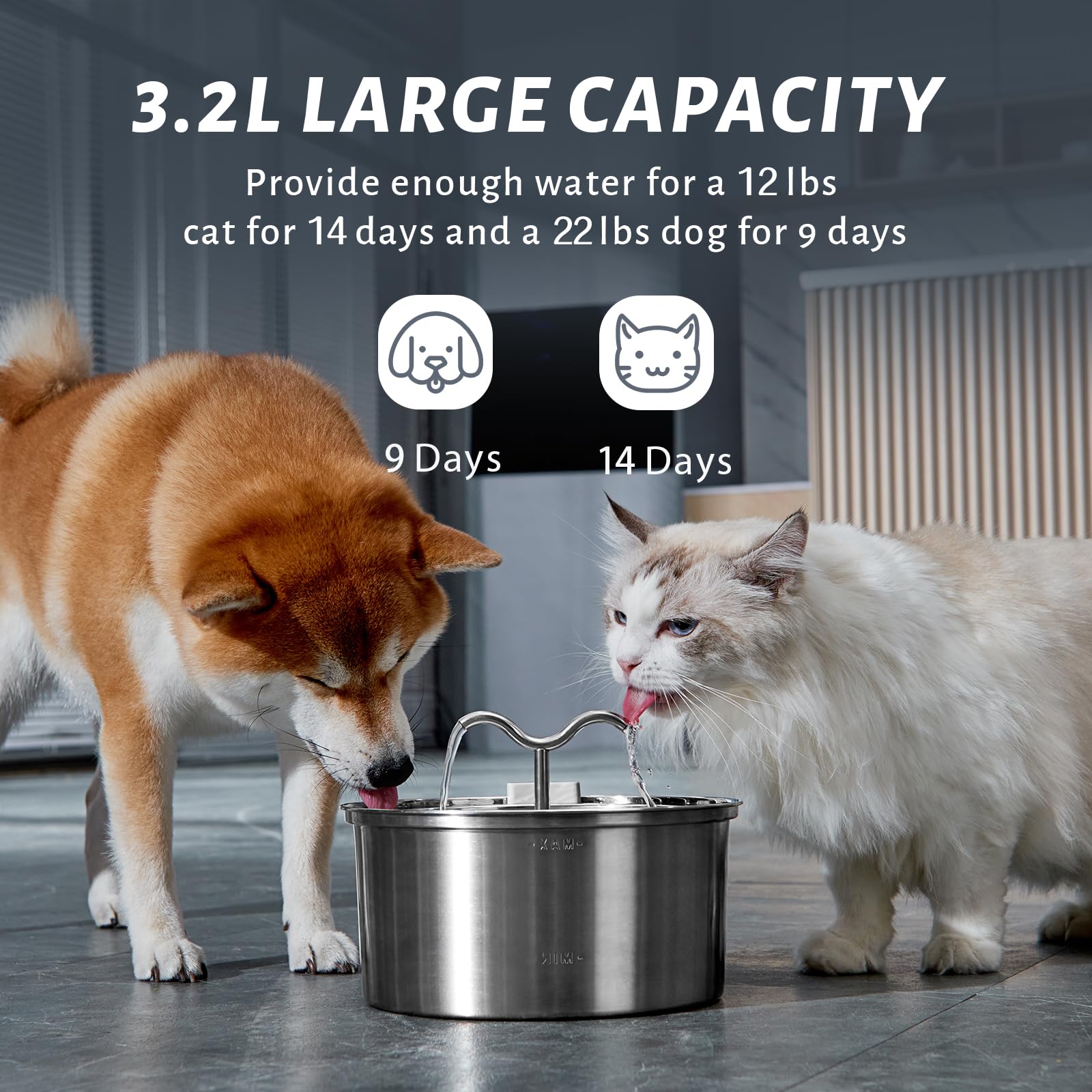 DOOOB filtration double: charbon et éponge pour eau plus propre.