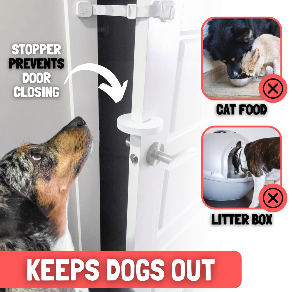 Door Buddy: barrière porte-chat et litière protégée contre les chiens.