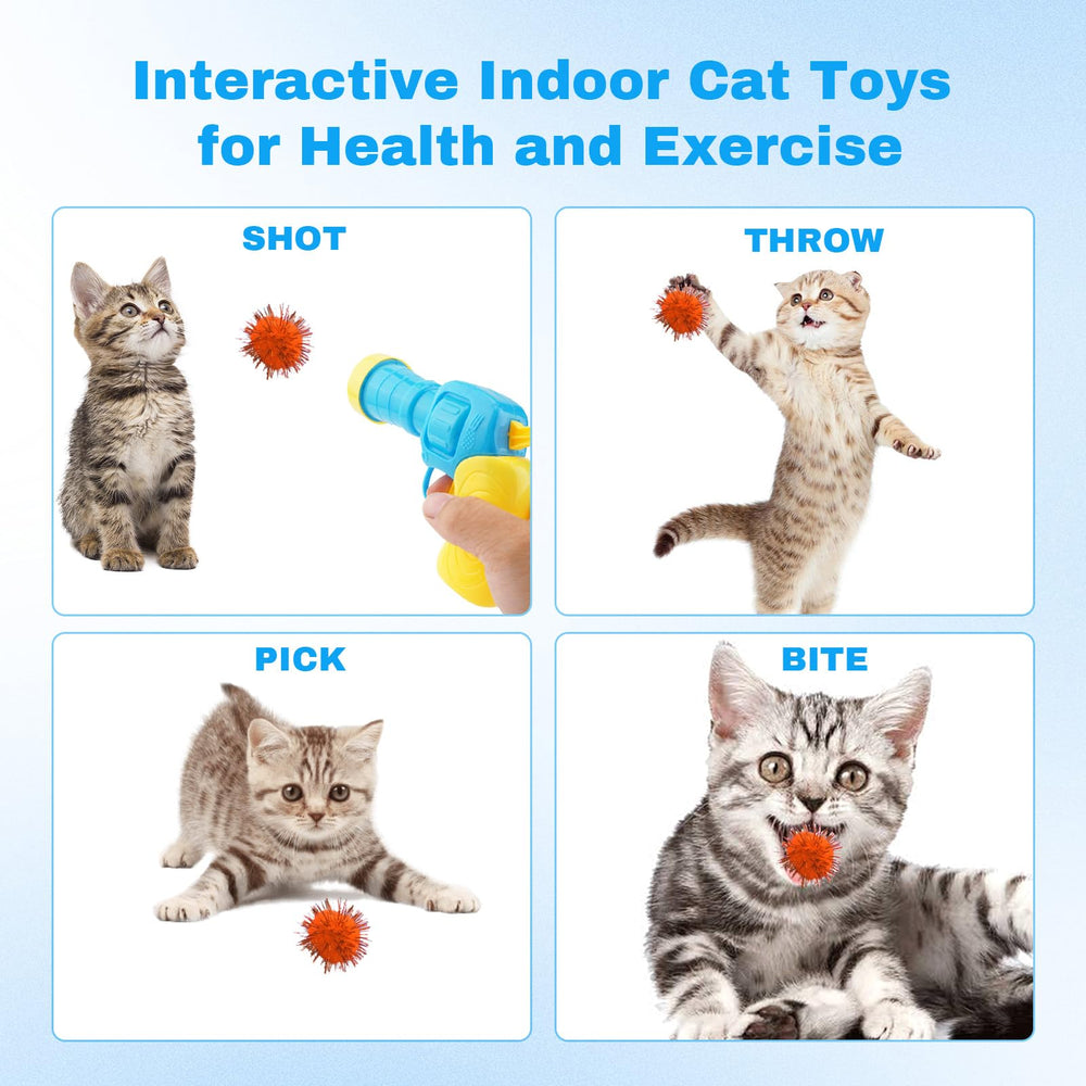 Dorhui jeu interactif pour chat intérieur, activité physique et mentale.