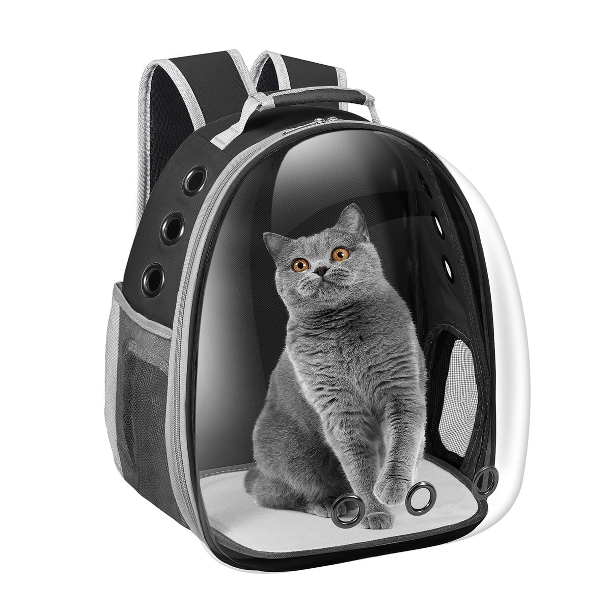 Sac à dos Dorphy en capsule-espace avec vue extérieure, idéal pour chat ou petit chien.