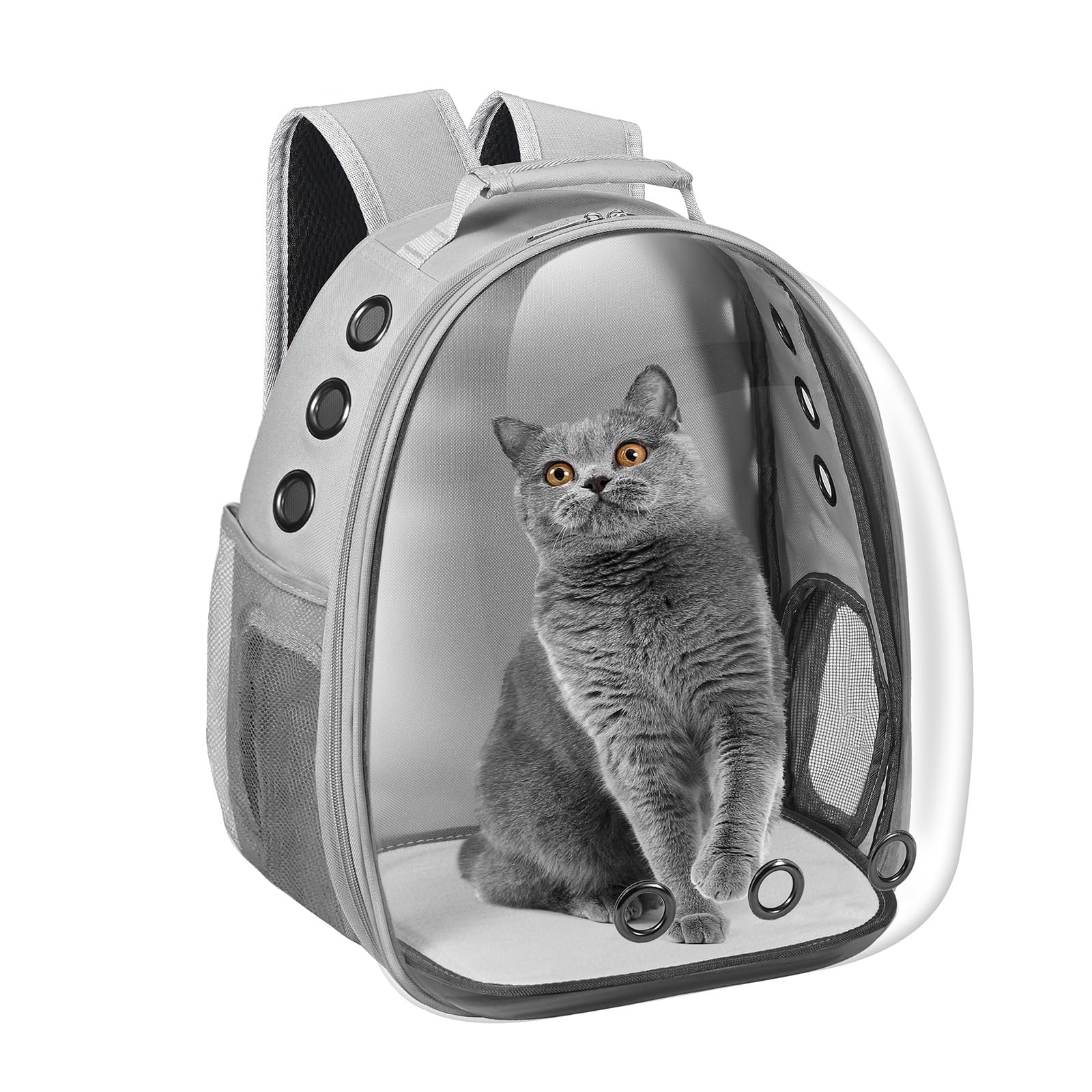 Le sac porte-chat Dorphy avec capsule transparente rassure votre animal lors des déplacements.