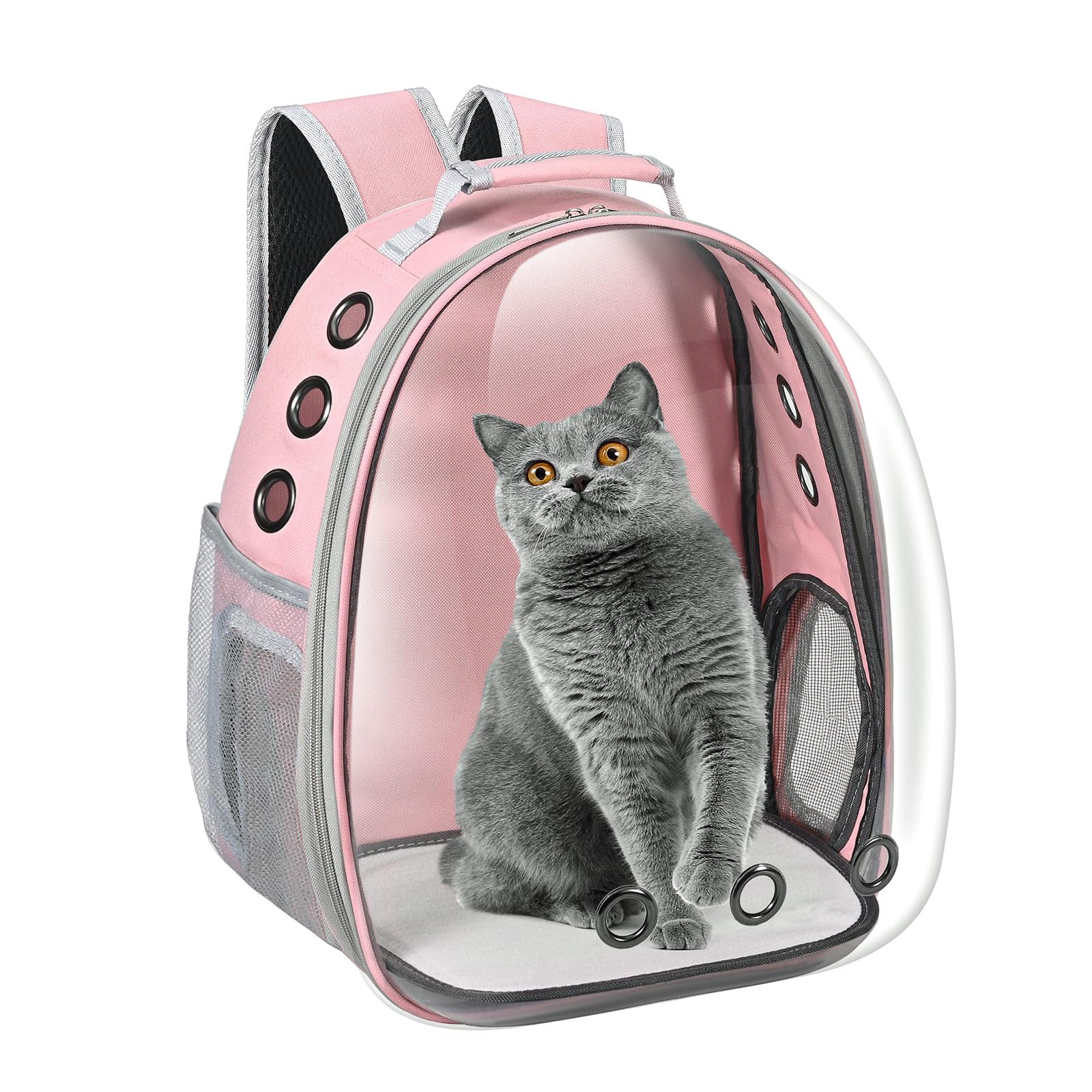 Chat dans le sac Dorphy capsule espace vue avant, confort de voyage.