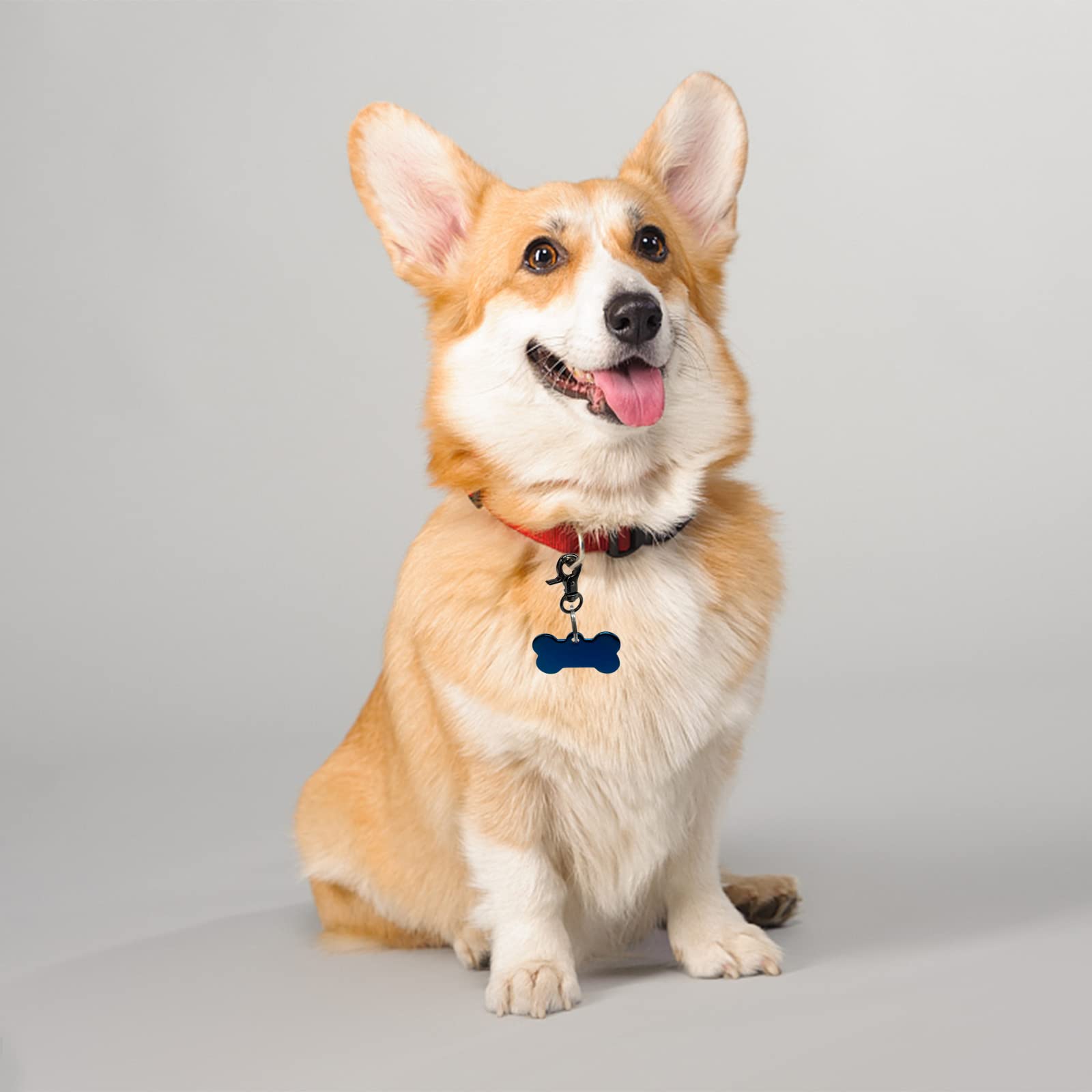Clip DORUI en action sur collier chien et chat, pratique et sûr.