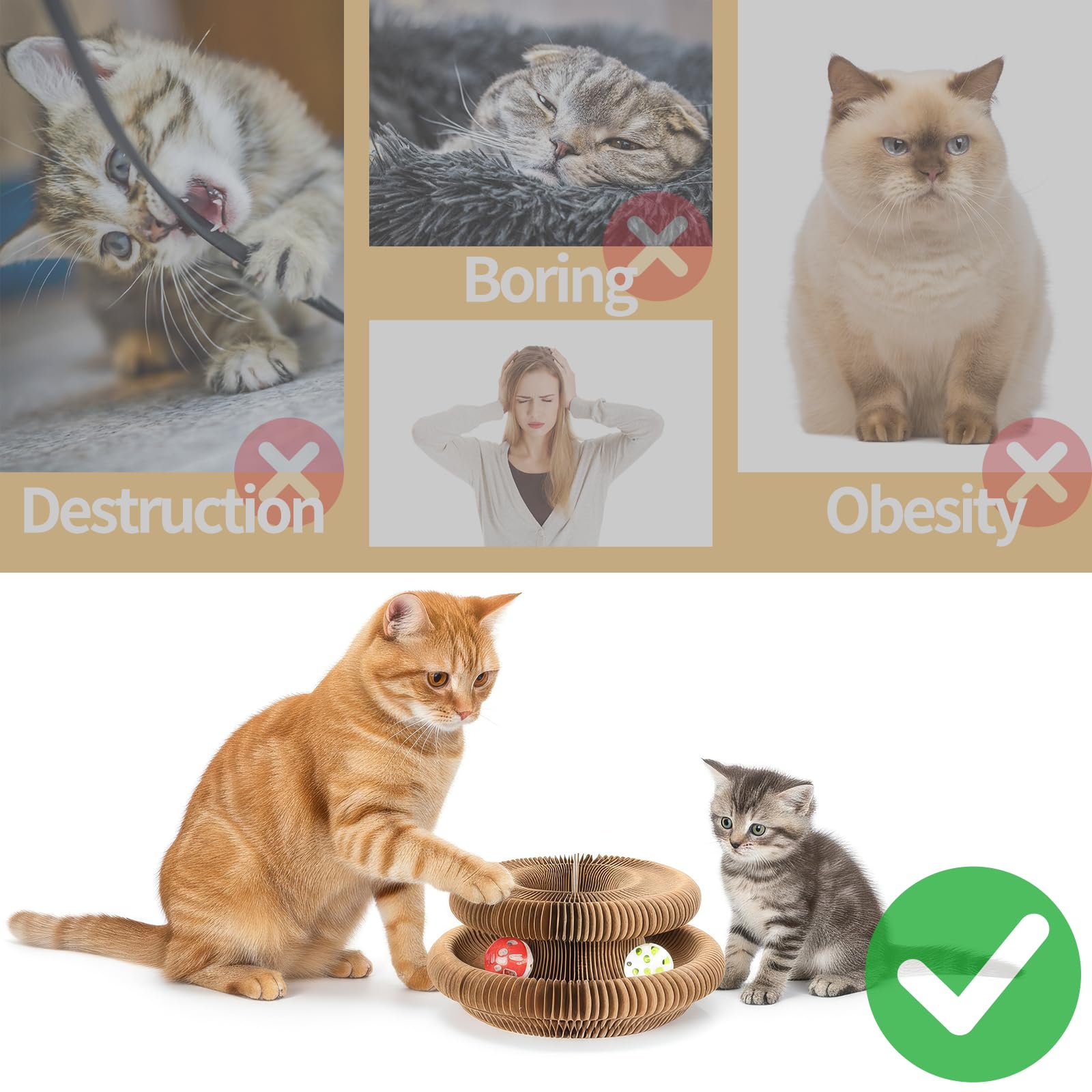 Dosanlues Magic Organ idéal pour familles avec plusieurs chats.
