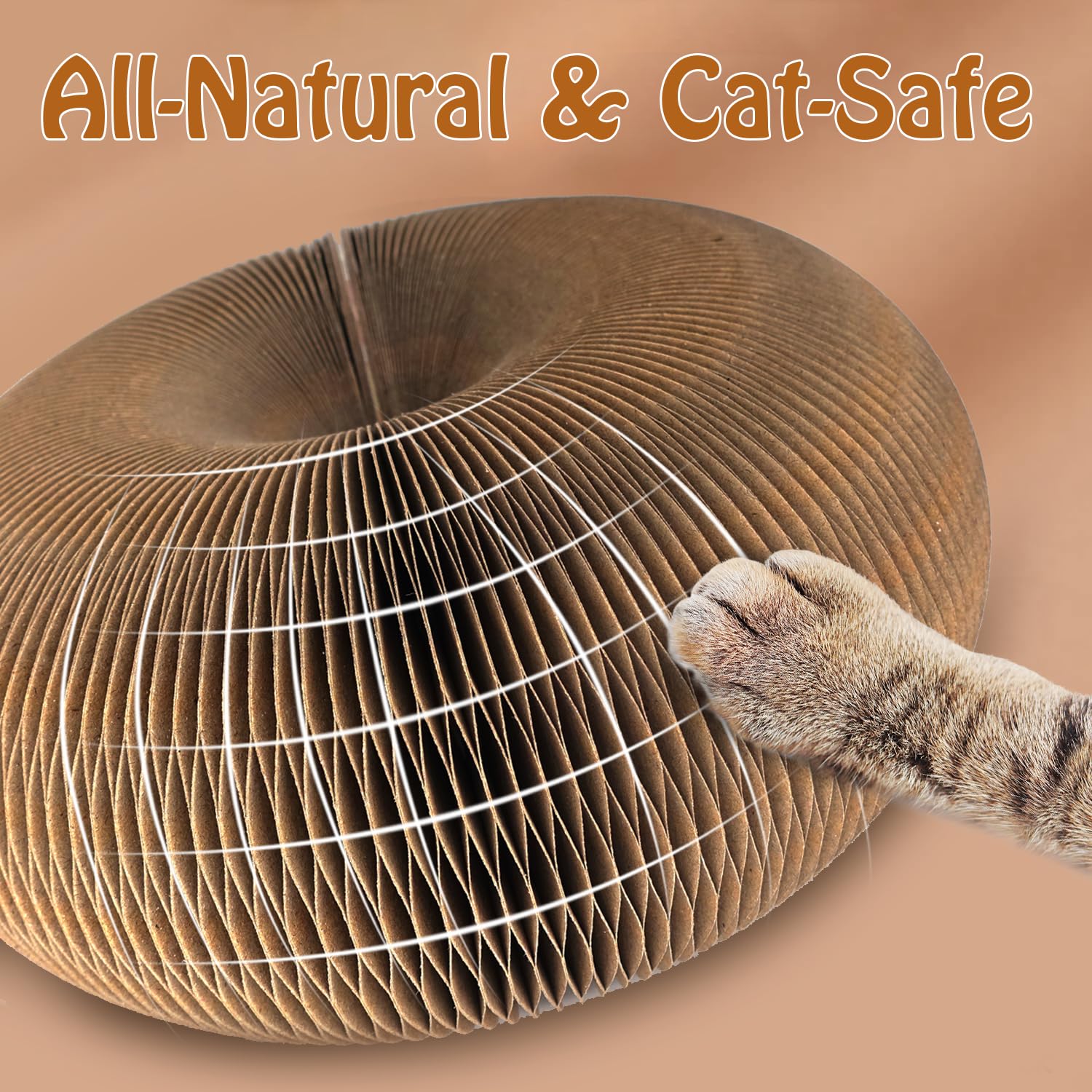 Dosanlues Magic Organ utilisation avec chat, divertissement et exercice.