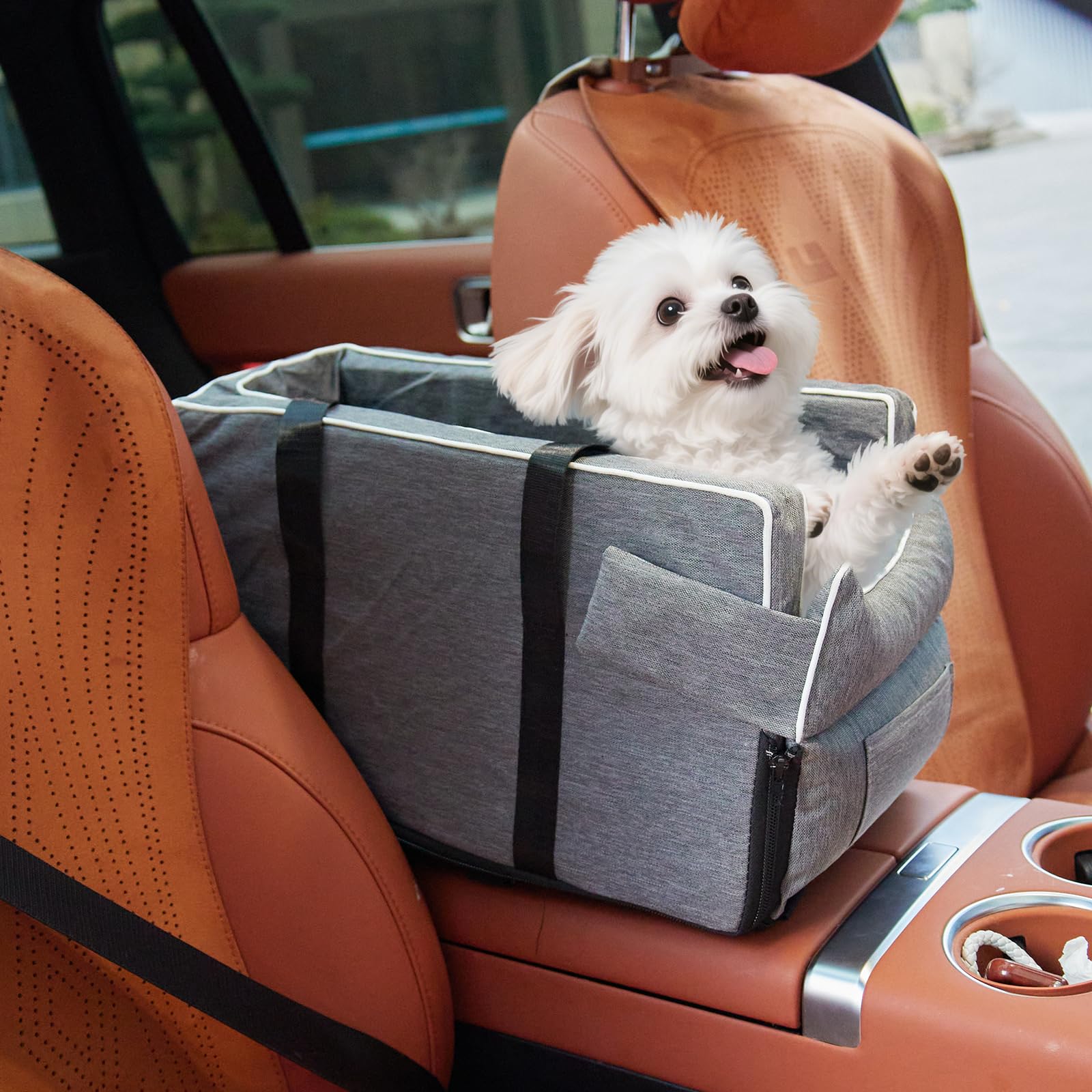 Siège-auto DOTEYAYP pour chien petit sur console centrale, confort sûr lors des trajets.