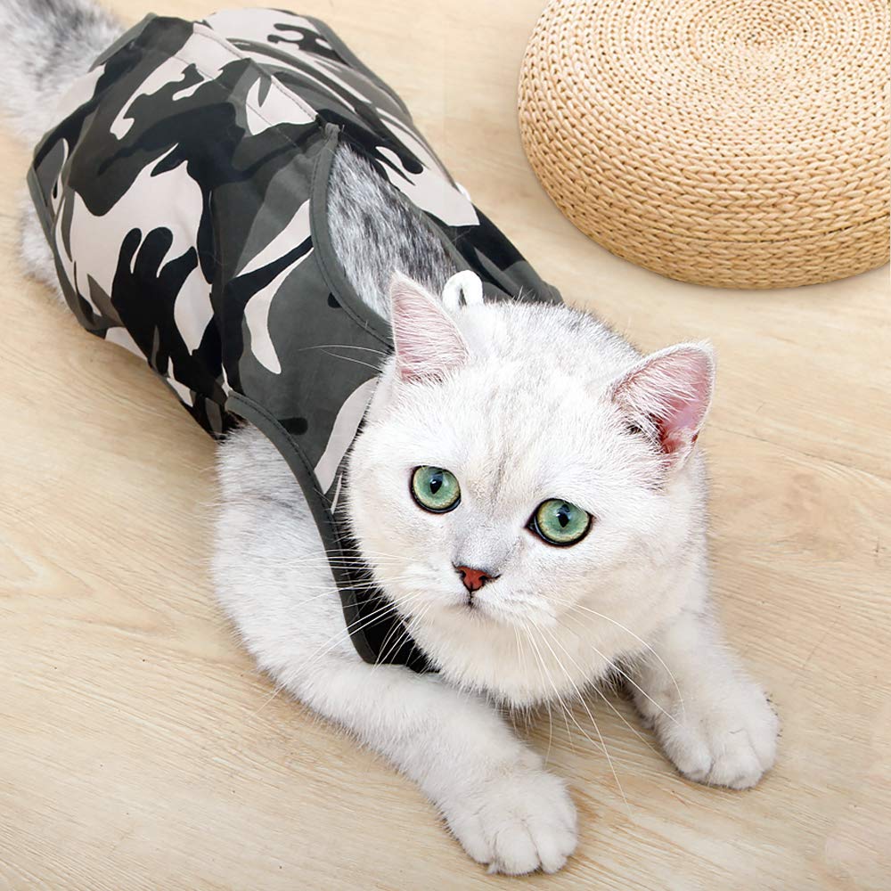 DOTON chat-sans-cone-litiere-accessible, litière utilisée sans contrainte.