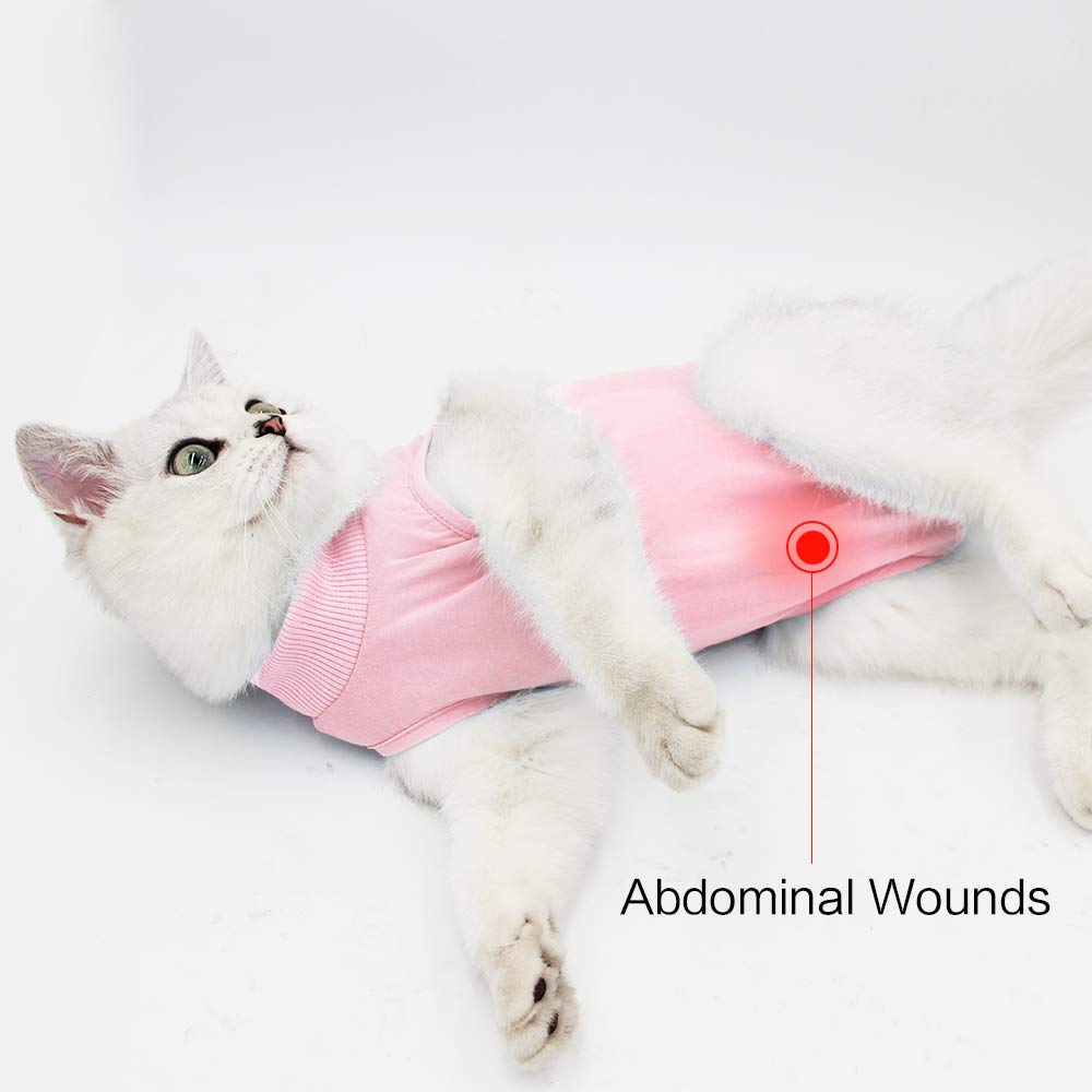 DOTON chat peut utiliser la litière sans cône grâce à la tenue.
