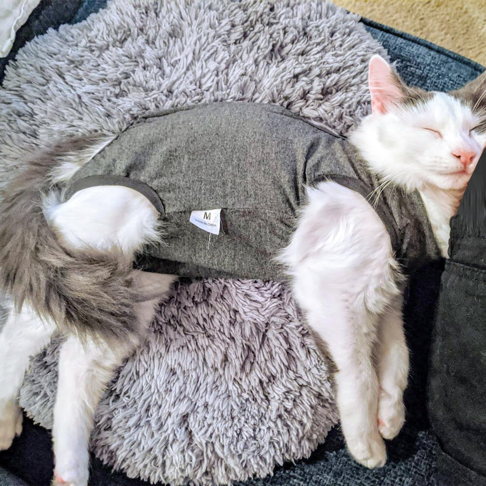 DOTON ensemble récupération chat, permet litière sans cône, pratique et sûr.