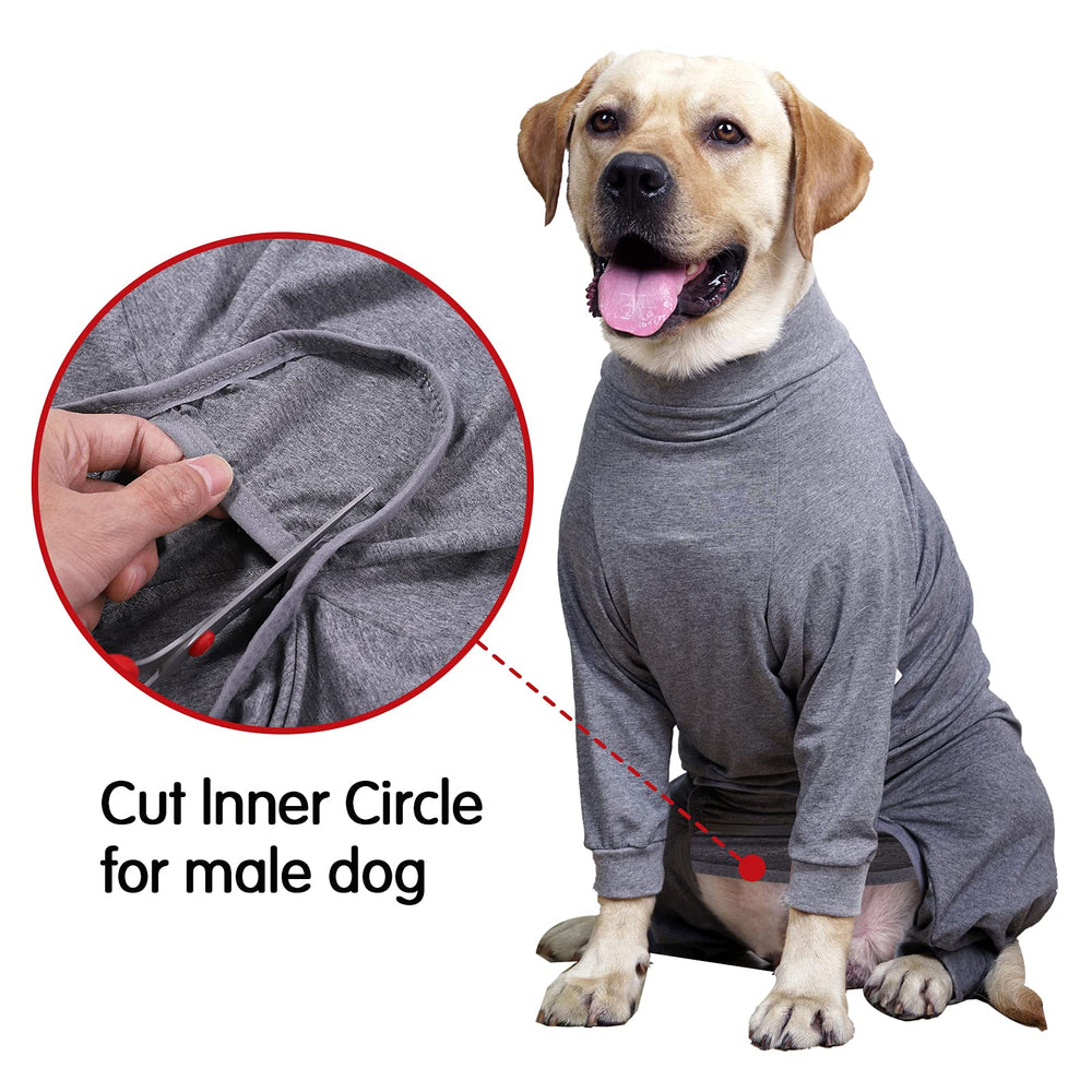 Dotoner alternative collier protection chien en mouvement