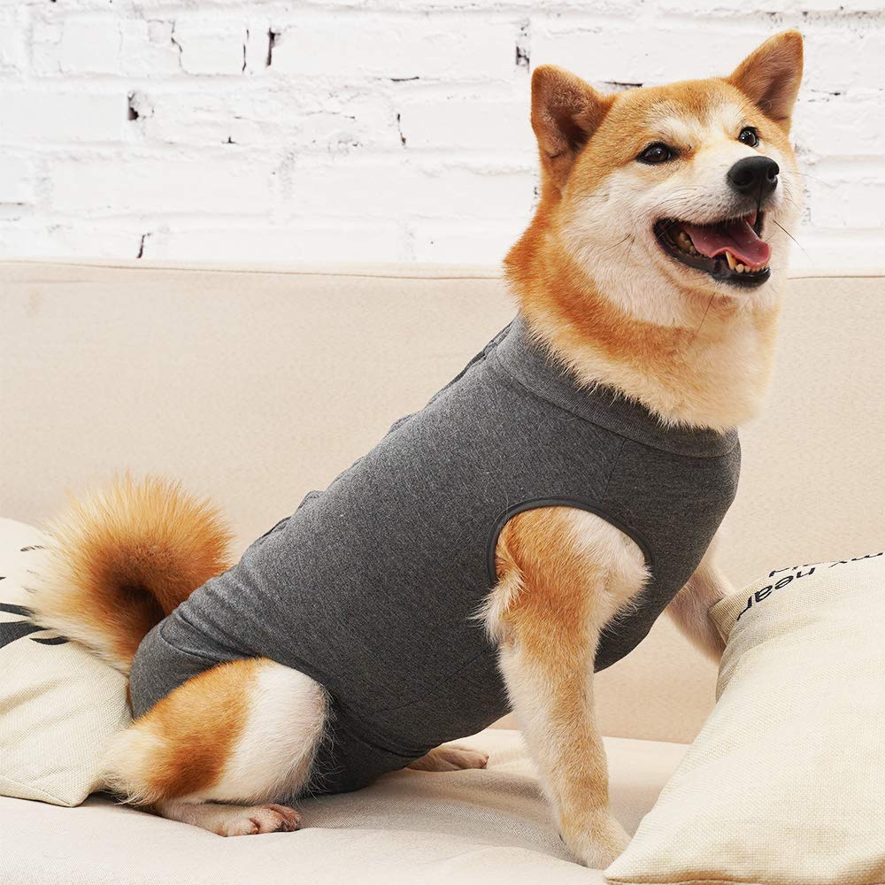 Veste Dotoner, tailles petites adaptées chats et petits rongeurs.