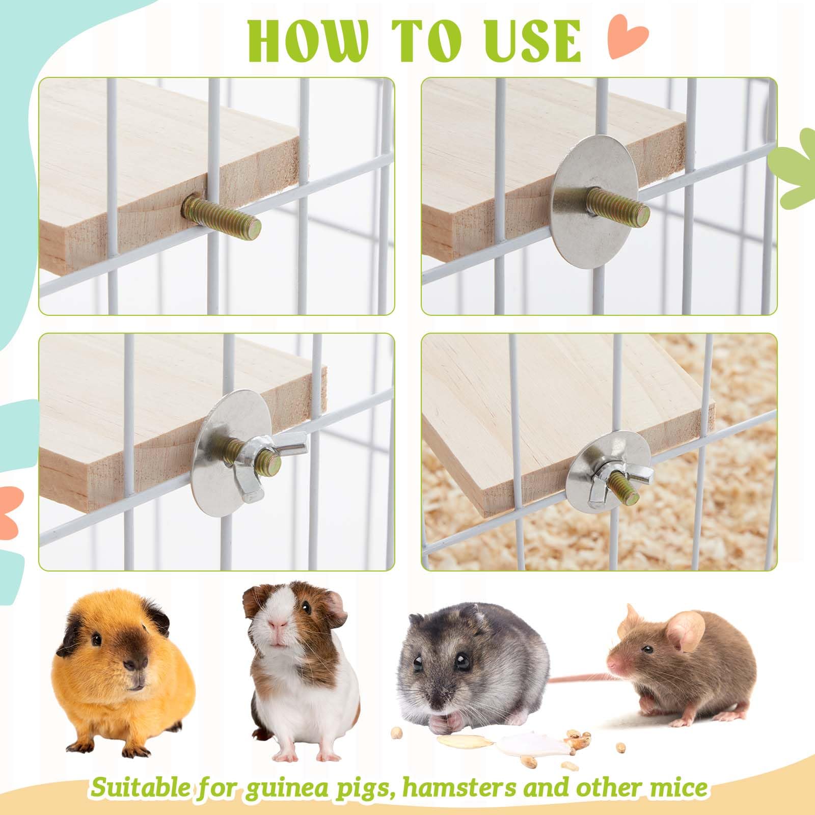 DoubleFill gobelet alimentaire – alimentation pratique et accessible pour rongeurs.