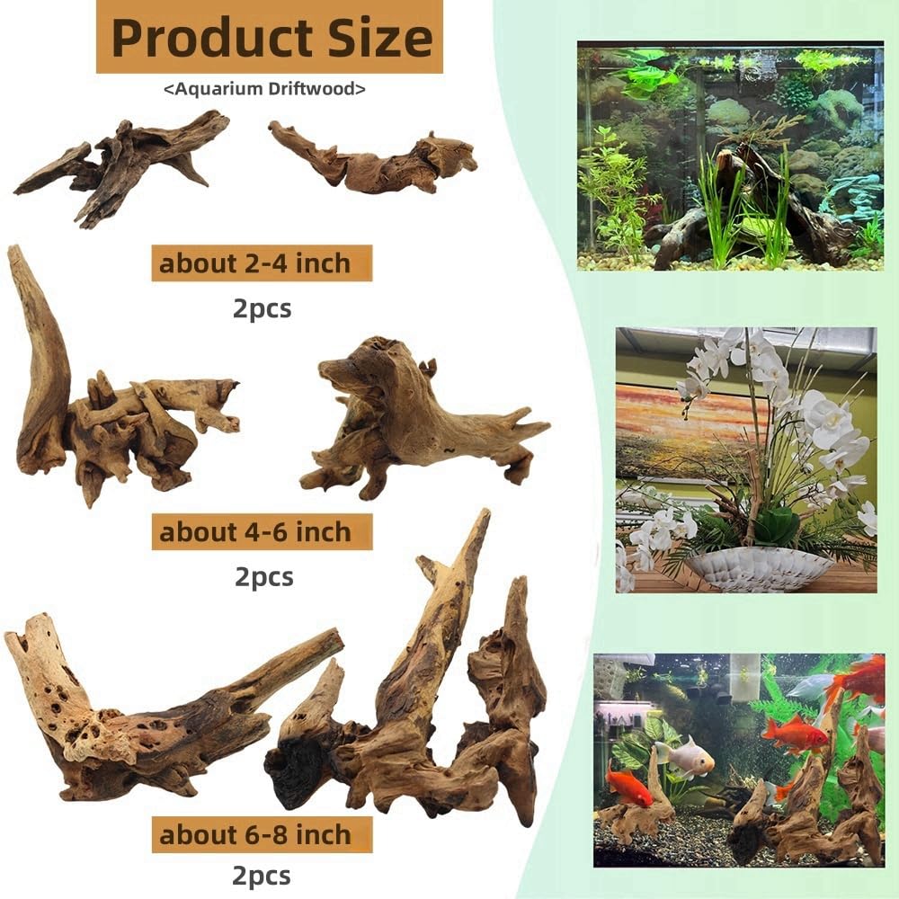 DoubleWood branche bois flotté 2-4 pouces, refuge discret pour petites crevettes.