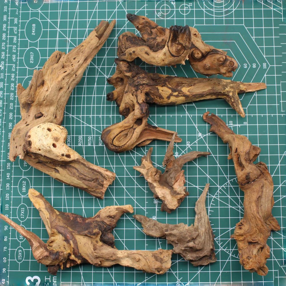 DoubleWood branche bois flotté 6-8 pouces, perche naturelle pour plantes et cachette.