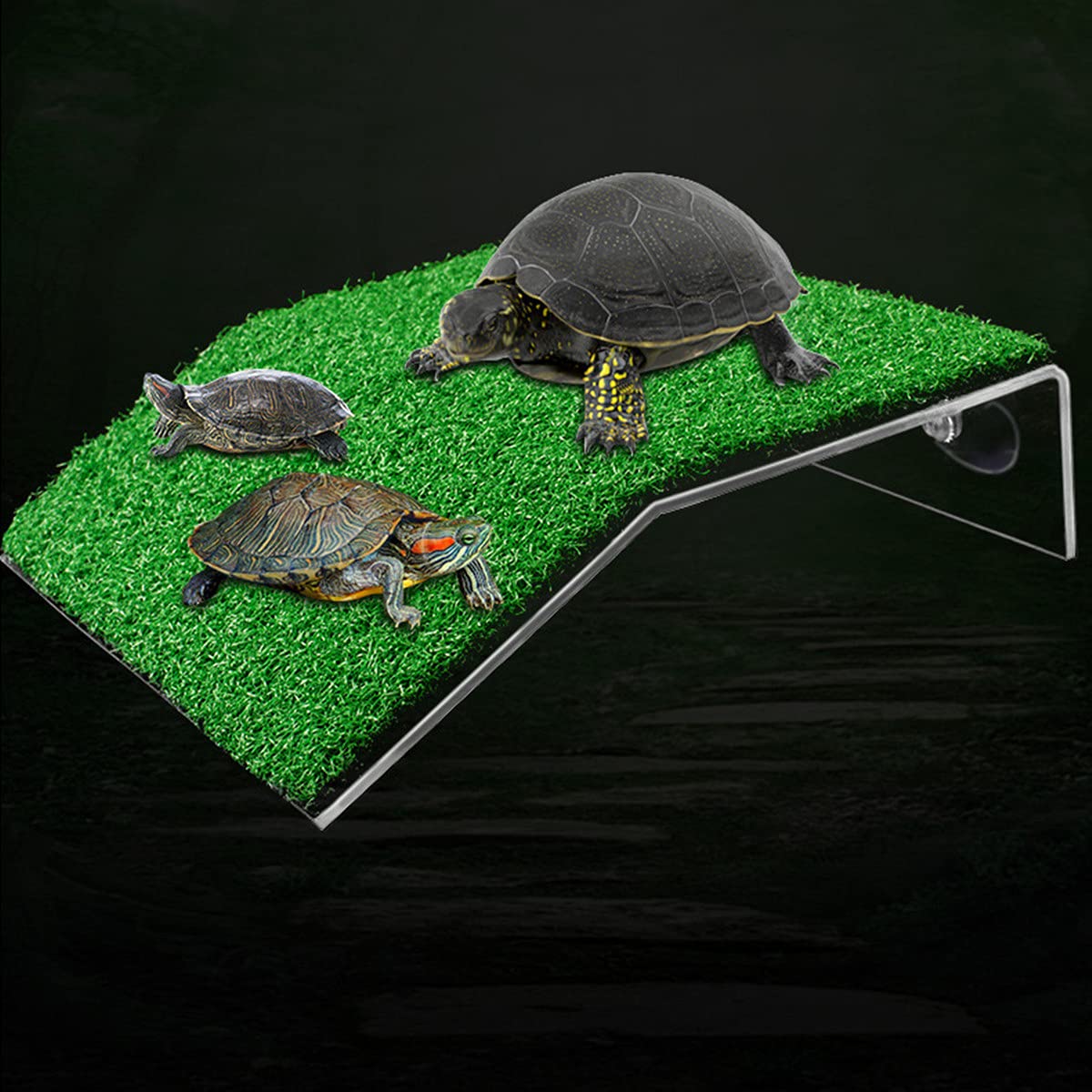 DoubleWood plateforme-repos-tortue avec gazon artificiel, repos sûr et agréable