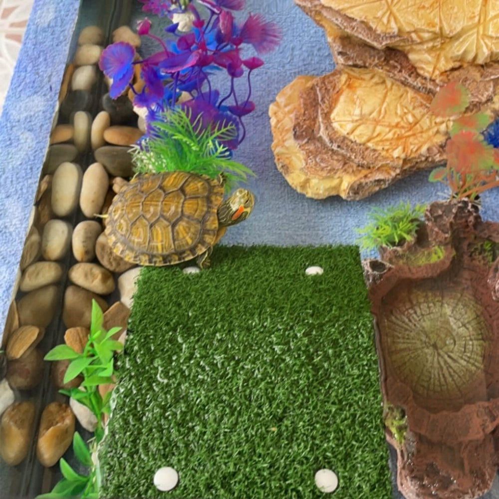 DoubleWood stimulation-activité-tortue, encourage escalade et exposition au soleil