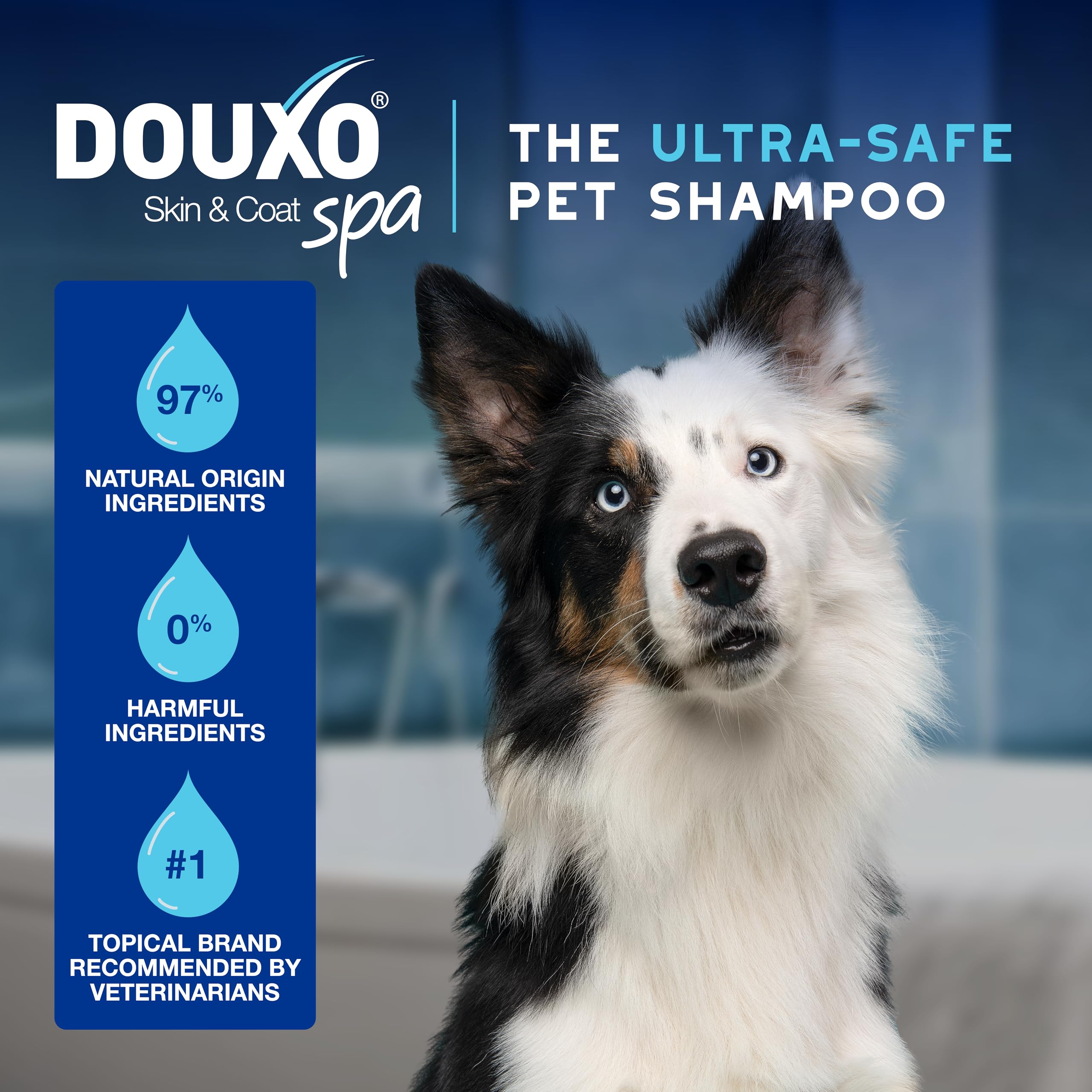 DOUXO Skin & Coat SPA applicateur doux: application précise et agréable.