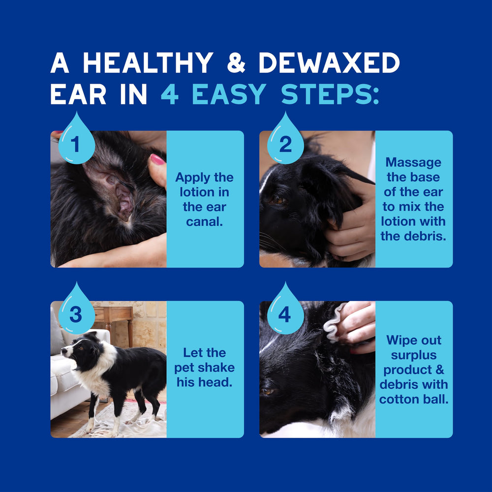 DOUXO Skin & Coat SPA recommandation vétérinaire: soin fiable pour les oreilles.