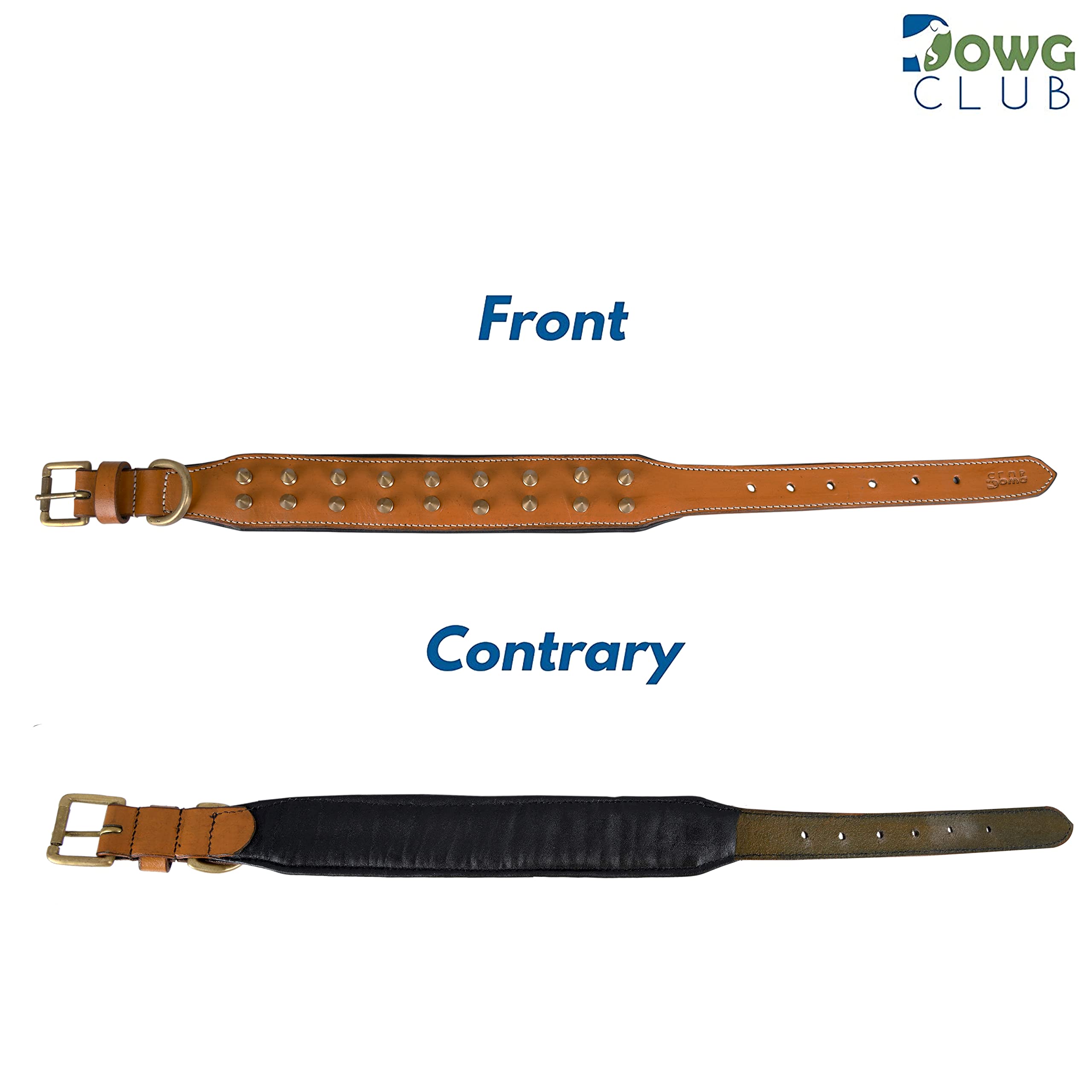 DowgClub collier ajustable, ideal pour moyennes et grandes races.