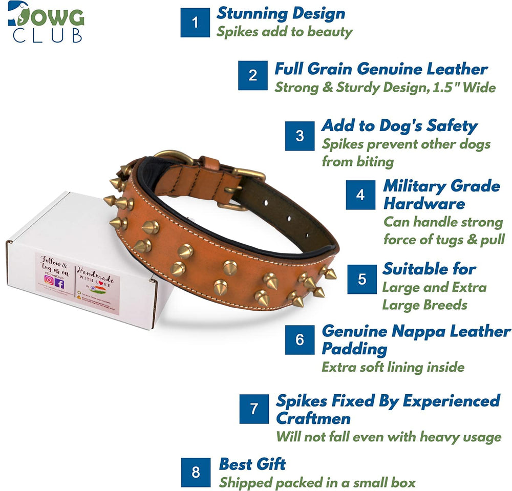 DowgClub collier bords lisses evitant l'adhérence des poils.