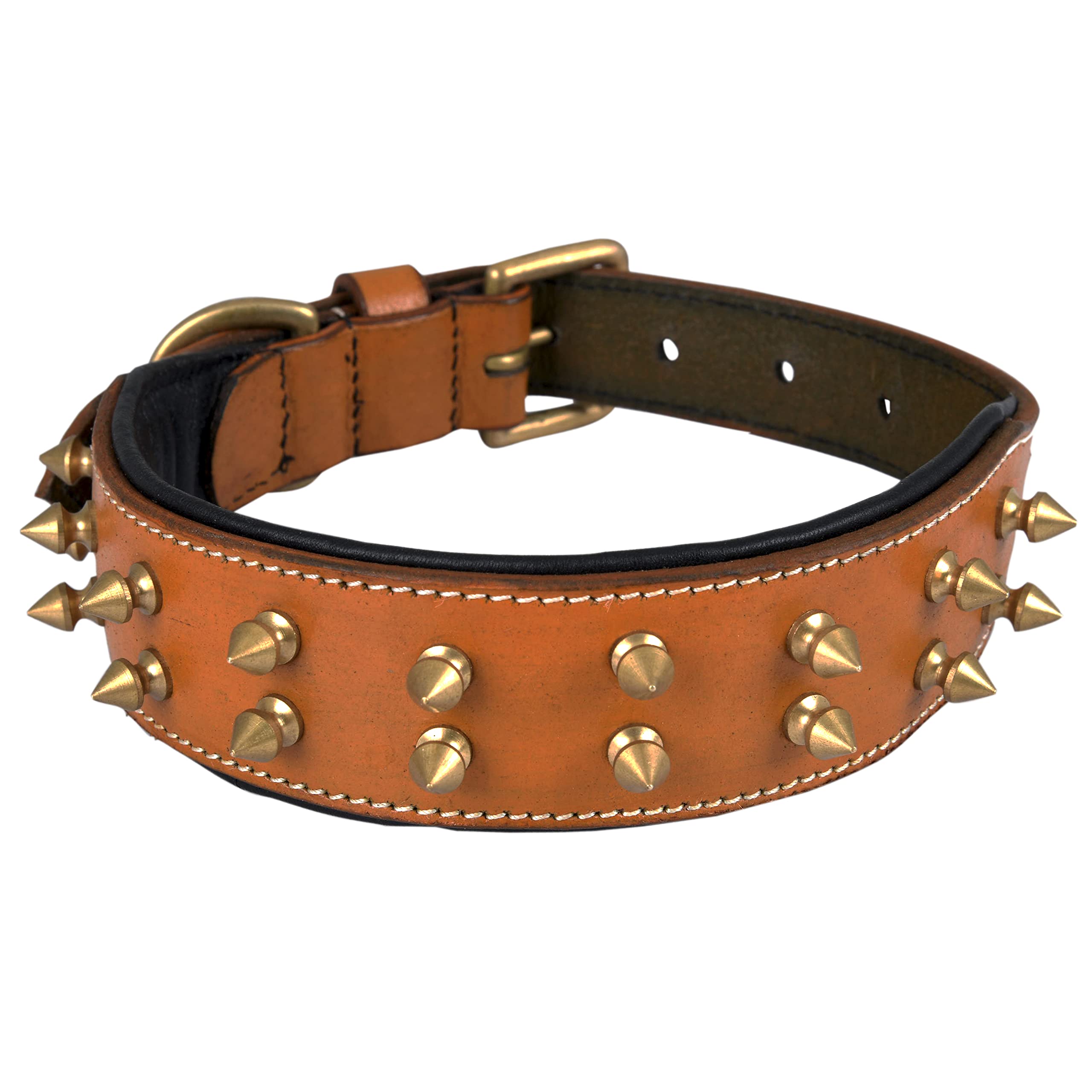 DowgClub collier avec boucle en laiton et anneau robuste.