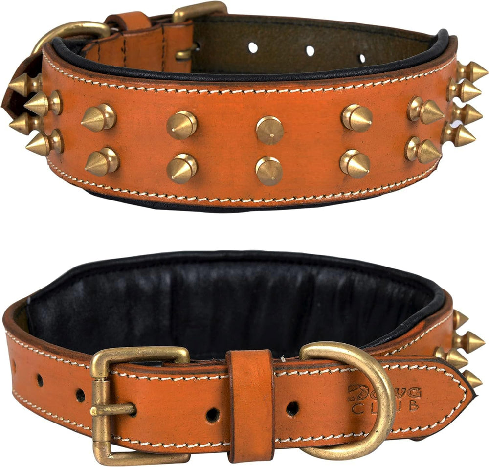 DowgClub collier a pointes en cuir pleine grain, durable et elegant.