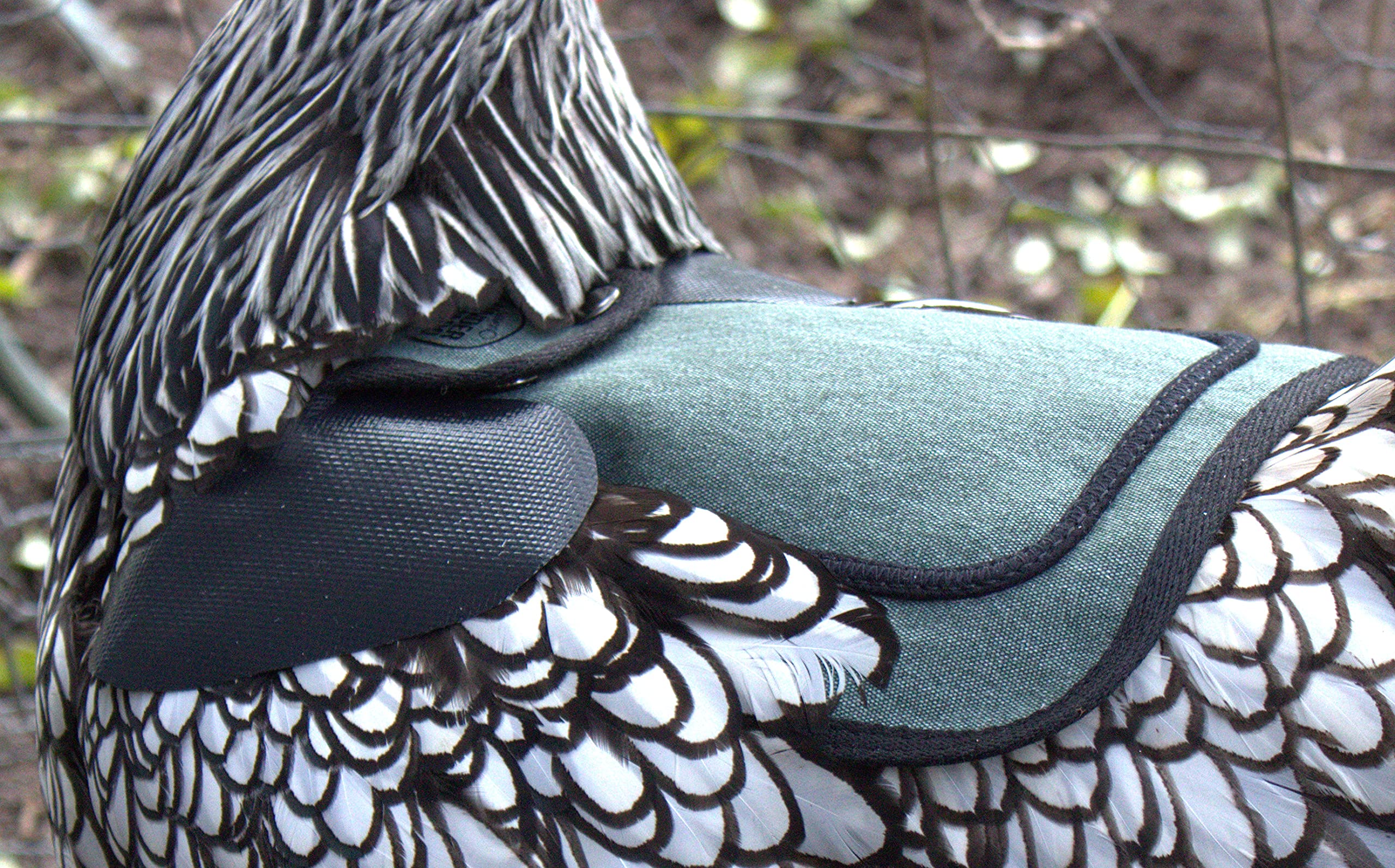 Protection du plumage DOWN UNDER OUTDOORS bleu-vert aide à la régénération.