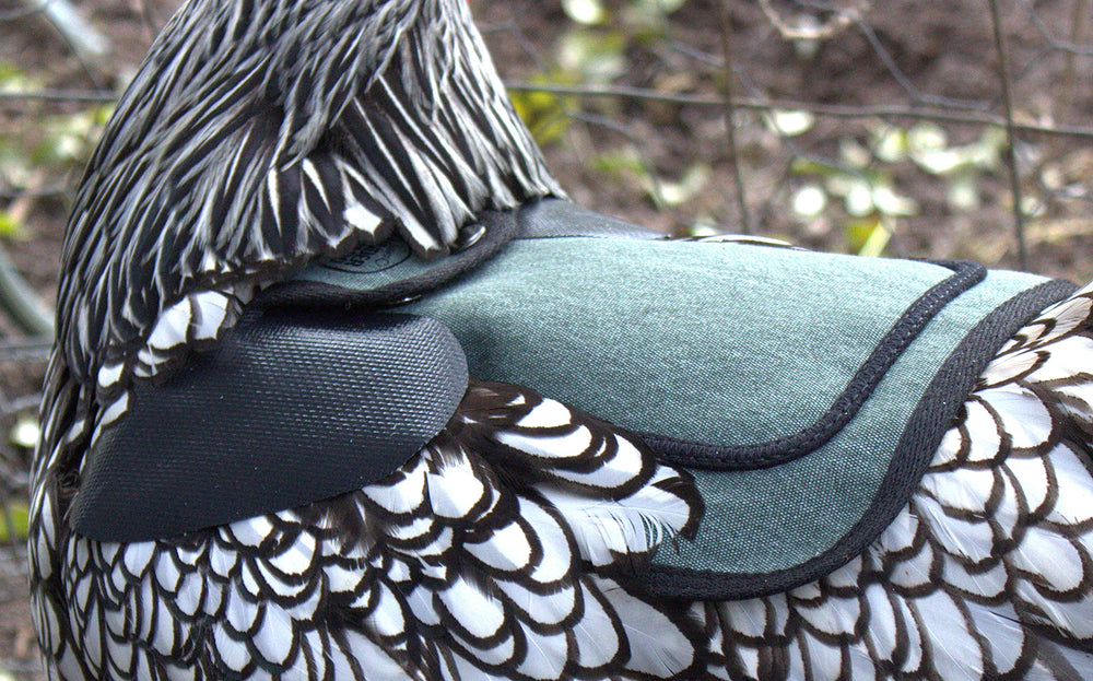 Protection du plumage DOWN UNDER OUTDOORS bleu-vert aide à la régénération.