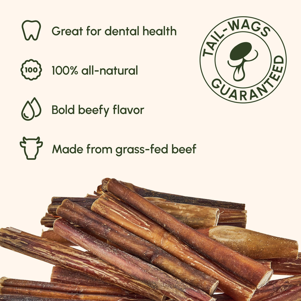 Downtown Pet Supply Bully Stick, gros plan sur le nettoyage dentaire naturel
