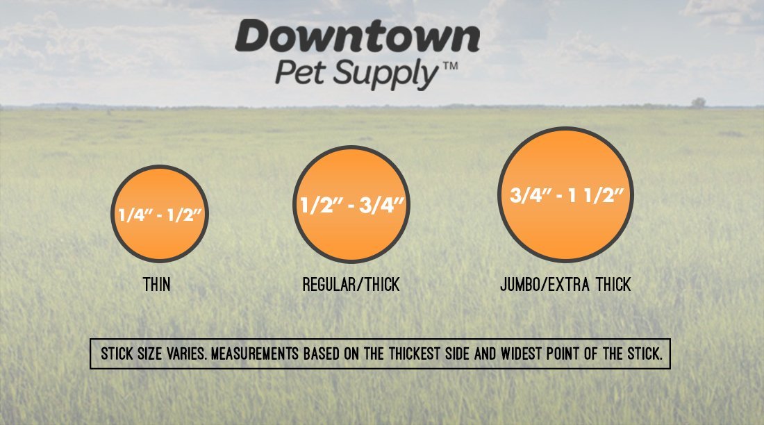 Downtown Pet Supply Bully Sticks 6 pouces: format pratique pour mâcher régulièrement.