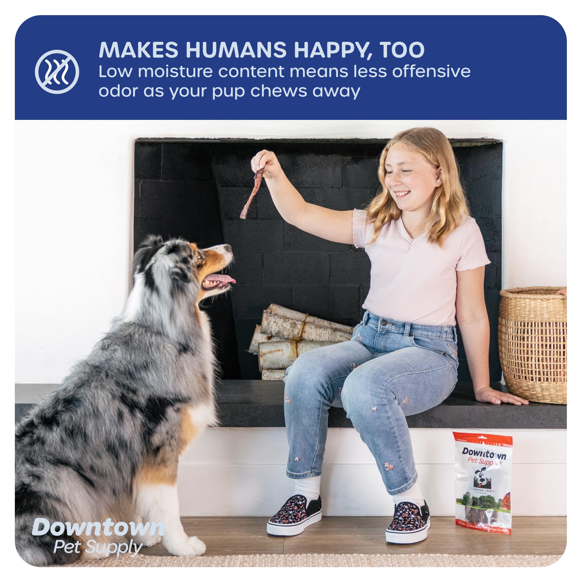 Downtown Pet Supply bully-sticks sans additifs, choix sain pour chiens.