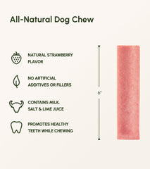 Chien mâchant Downtown Pet Supply Yak Chews, snack durable et sans odeur.