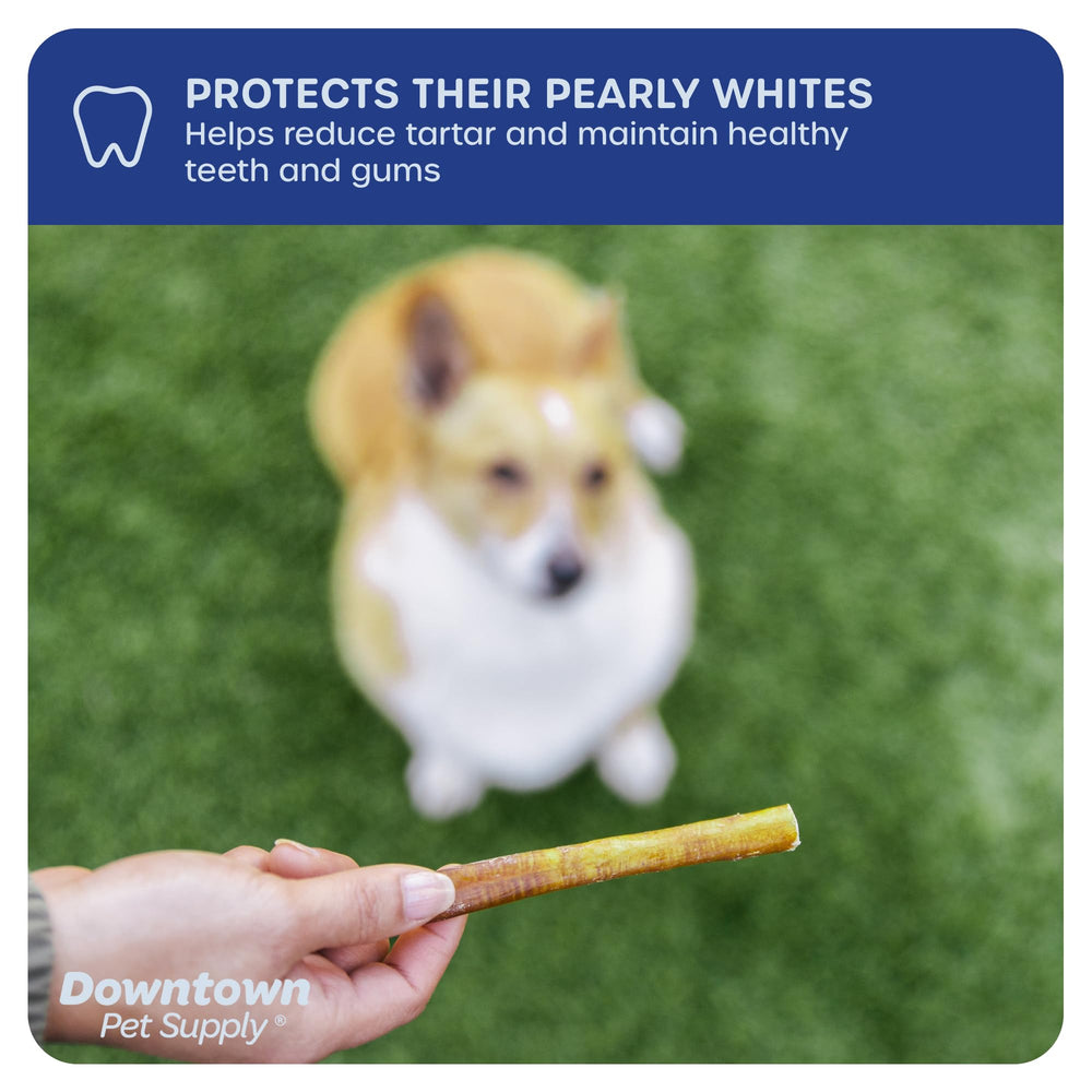Downtown Pet Supply, digestible et doux pour la digestion des chiens.