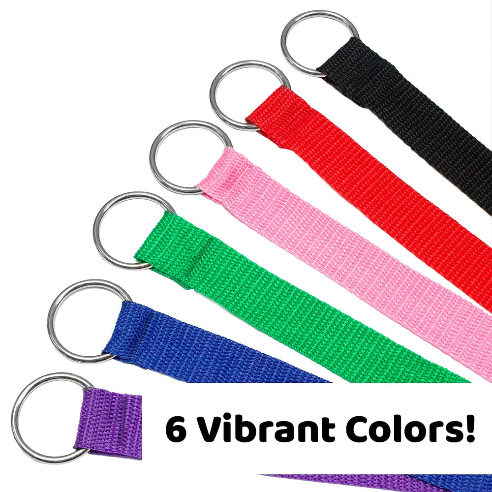 Laisse-slip Downtown Pet Supply lors du grooming, sécurité de manipulation