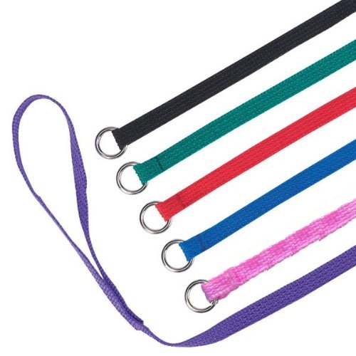 Laisse-slip Downtown Pet Supply avec anneau en O, ensemble de six, pratique en salon.
