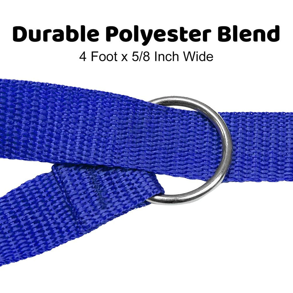 Downtown Pet Supply Laisse-slip taille universelle pour chiens de toutes tailles, manœuvre facile.