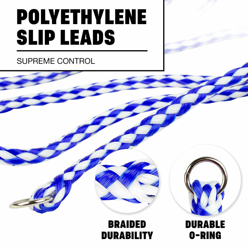 Downtown Pet Supply Longe Poly Tresse Close-up, matériau résistant pour les sessions en salon