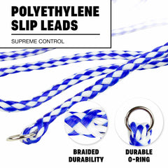 Downtown Pet Supply Longe Poly Tresse Close-up, matériau résistant pour les sessions en salon