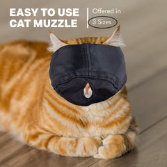 Muselière Downtown Pet Supply – coupe-ongles sans stress pour votre chat.