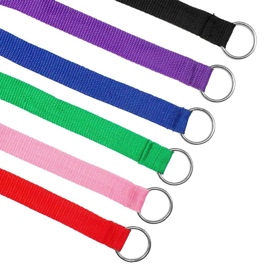 Laisse-slip Downtown Pet Supply pour tous les chiens, de petites à grandes tailles.