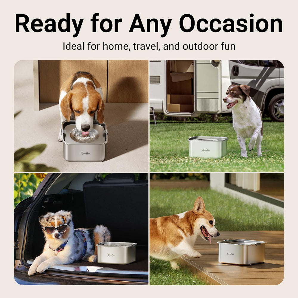 Base stable DownyPaws pour maintien en extérieur