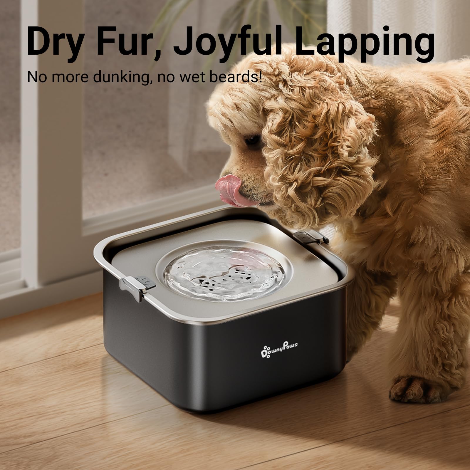 Bol DownyPaws capacité 3L pour chiens moyens