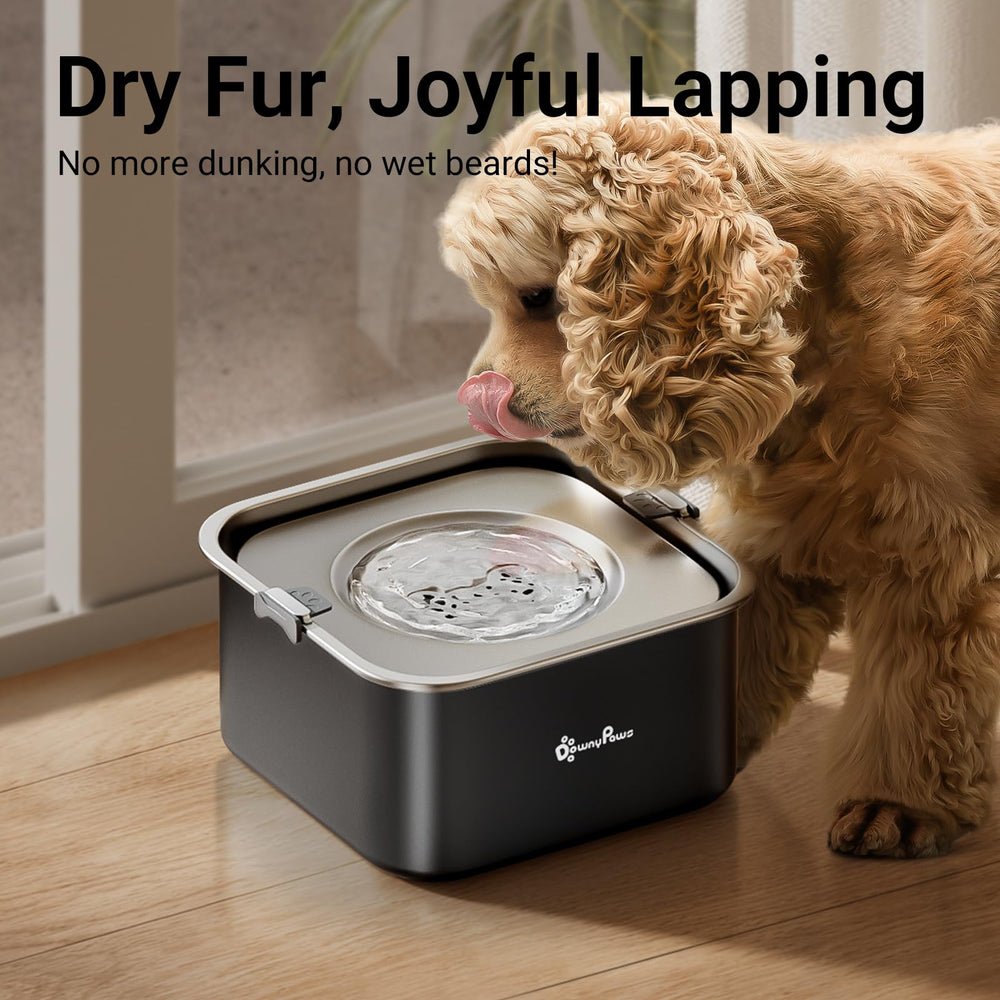 Bol DownyPaws capacité 3L pour chiens moyens