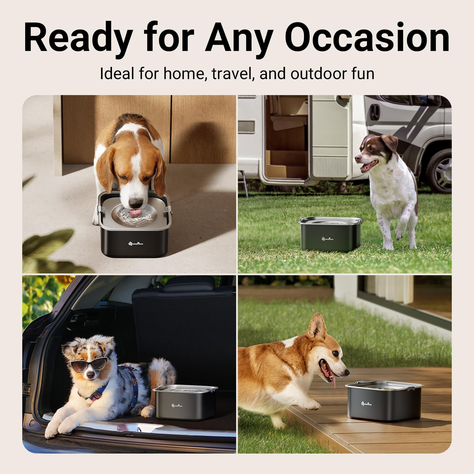 Design moderne DownyPaws bol s’intégrant au décor