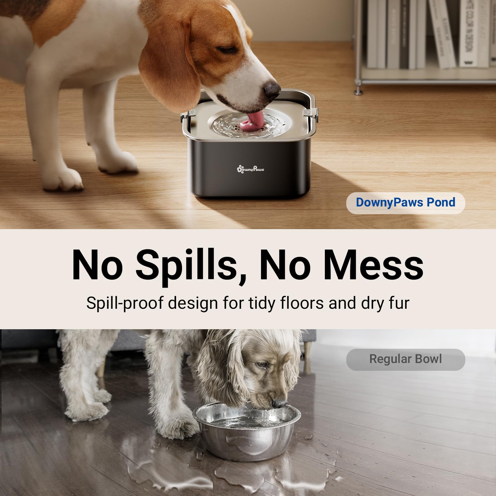 DownyPaws disque flottant débit contrôlé pour boire proprement