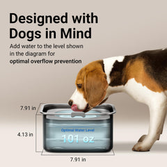 Bol en inox DownyPaws durable et facile à nettoyer
