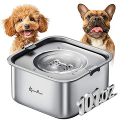 Bol d eau DownyPaws sans déversement en acier inoxydable pour chien