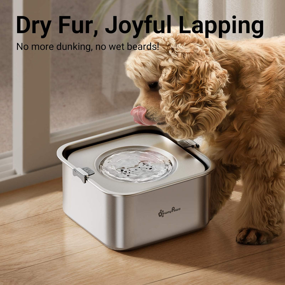 Capacité 3L du bol DownyPaws pour chiens moyens