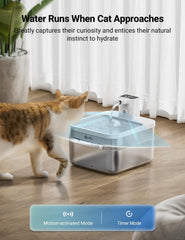 Capteur de mouvement déclenchant l’eau lorsque le chat s’approche.