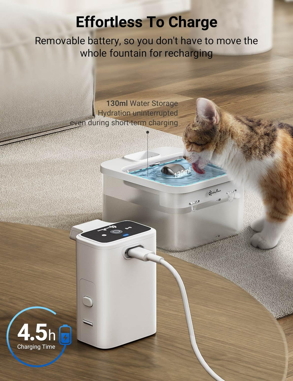 Design blanc moderne DownyPaws qui s’intègre à la déco.